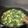 Cooksnap de Chounette sur la recette Onctueuse omelette aux épinards