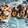 El cooksnap de amalia cuando hizo Rosquillas rápidas y fáciles.