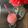 Shruti Vaghela's cooksnap of when they made મિક્સ ફ્રૂટ સ્મુધી (Mix Fruit Smoothie Recipe In Gujarati).