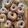 El cooksnap de mony cuando hizo Rosquillas.