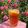 𝒳𝓇𝓊𝓈𝑜𝓊𝓁𝒶 𝒦𝑜𝓃𝓉𝑜𝓅𝑜𝓊𝓁𝑜𝓊's cooksnap of when they made Refreshing Lemon Mint Iced Tea.