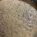 Kari Doucette's cooksnap of when they made Ground Beef Stroganoff.
