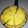 Cooksnap dari Pawon DS untuk resep Pie Susu Teflon (Anti Gagal)