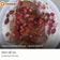 Bindiya Dhinoja's cooksnap of when they made ઇન્સ્ટન્ટ દહીંવડા (Instant Dahi Vada Recipe In Gujarati).