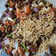 Priya jain का कुकस्नैप जब उन्होंने स्प्राउट्स(sprouts recipe in hindi) बनाया था।