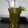 Mae Leigh's cooksnap of when they made Jake's Mint Lime (a bunny drink).