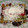 El cooksnap de Norma Mireya cuando hizo Flautas de sardina de lata con salsa borracha verde.