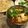 Bryce Liu 的 番茄蛋花湯麵 cooksnap