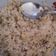 Cooksnap dari Shinta Eka Pratiwi untuk resep Nasi goreng siang bolong