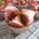 Cooksnap dari ihdanas untuk resep Bolu Kukus Mekar (mekar sempurna)