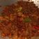 Cooksnap dari Mayaa SoniTasmaya untuk resep Mercon beef slice bumbu padang