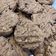 Cooksnap dari Satri Paramita Khalifah untuk resep Oatmeal cookies (gluten free)