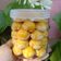 Cooksnap dari Aisyah Dwii untuk resep Nastar lumer Tintin Rayner