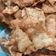 Cooksnap dari unicornmum untuk resep Kulit Pangsit Goreng
