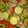 toya972's cooksnap of when they made Easy cucumber tomato salad.