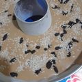Cooksnap dari Titien E Sianturi untuk resep Bolu White Kopi