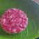 Cooksnap dari Wulandari untuk resep Kue Sengkulun Tepung Ketan