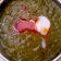 Devna Arora का कुकस्नैप जब उन्होंने सरसों का साग (sarson ka saag recipe in Hindi) बनाया था।