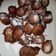 Cooksnap de Dorothee Lzr sur la recette Beignets express