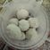 Cooksnap dari Nur Hayati So Sweet untuk resep Bakso Ayam Rendah Kalori