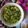 Cooksnap dari Najma Fiq untuk resep Ci cai Soup ala chinese food (seaweed soup♨️♨️)