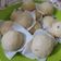 Cooksnap dari Honey Bee Fam untuk resep Mini Pao
