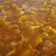 El cooksnap de barlagranadina cuando hizo Sopa marinera gallega.