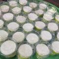 Cooksnap dari Dinda Ayu untuk resep Lumpur Surga_Kemasan Cup Plastik