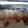 Cooksnap dari Nur Khumairoh untuk resep Kaldu Sapi MPASI Homemade