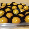 Cooksnap dari Ummu Muhammad Salma untuk resep Nastar Premium Lumer dan Glowing