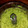 El cooksnap de Betty B Nielsen cuando hizo Tallarines con pesto de espinacas y almendras.