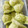 Cooksnap dari Nanda untuk resep Bolu Pandan Kukus #Keto