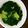 Cooksnap dari ariesta kirei untuk resep Sayur bening katuk labu siam simpel