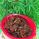 Cooksnap dari Nur Haida untuk resep Paru goreng rica