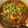 Syma Huq's cooksnap of when they made কাঁচা মরিচ দিয়ে শিমের বিচি.