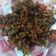 Cooksnap dari Mommy&Abhy untuk resep Pare Nenek ala Ashanty