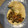 El cooksnap de Susana Tapia cuando hizo Mollejas de pollo a la mexicana para tacos.