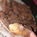 Cooksnap dari Pineapple untuk resep Kulit lumpia anti sobek