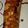 El cooksnap de Anamari cuando hizo Rollito de plátano caramelizado.
