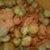 Cooksnap dari Iva_Dolphins07 untuk resep Cimol kopong anti meledak