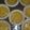 melissa.lee's cooksnap of when they made Lemon tarts.