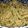 Julie T.'s cooksnap of when they made AMIEs SPAGHETTI with OIL & PARSLEY.