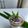 Cooksnap dari Inoy's Kitchen untuk resep Bubur kacang ijo + ketan item