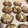 Cooksnap de FPG sur la recette 🚨Craquelés au chocolat🍫
