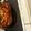 OreoTooPretty's cooksnap of when they made Lasagna.