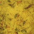 Sushmita Chakraborty's cooksnap of when they made Vegetable pulao.