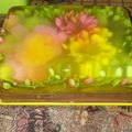 Cooksnap dari erni untuk resep Jelly art no tools