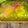 Cooksnap dari erni untuk resep Jelly art no tools
