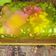 Cooksnap dari erni untuk resep Jelly art no tools