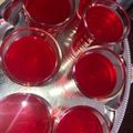 Aparna dube का कुकस्नैप जब उन्होंने रूह अफजा मिंट लेमन कूलर (rooh afza mint lemon cooler recipe in Hindi) बनाया था।